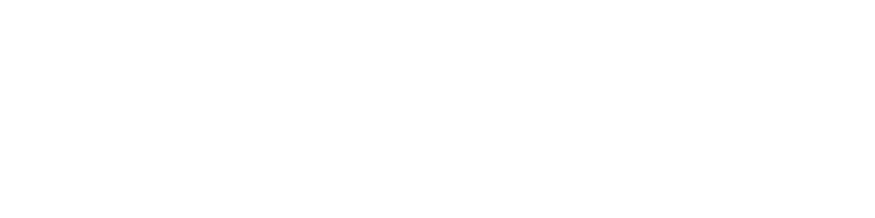 TRUST AUDIT ACCOUNTING SERVICES